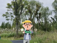 -溱湖国家湿地公园