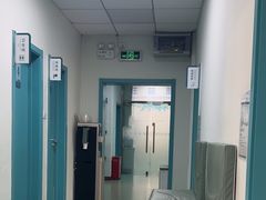 -北京观赏动物医院·24小时大型综合·猫专科·异宠专科