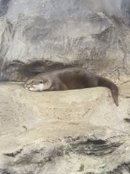 -Zoolung Zoolung动物主题公园(海信广场店)