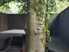-龙井壹号·茶缘山景宴(龙井村店)