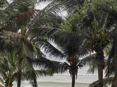 -小海豚•老字号海鲜餐厅(天涯店)