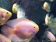 -苏州海洋馆