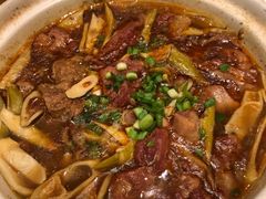 笋尖炖牛腩-大张烙馍村(泉山店)