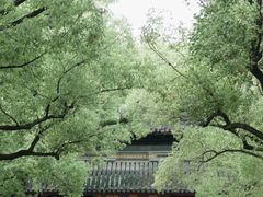 -西园戒幢律寺