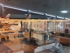 -上海浦东国际机场-T2航站楼