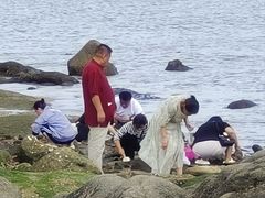 -日照灯塔风景区