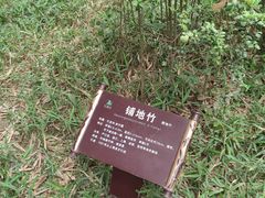 -望江楼公园