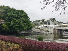 -厦门国家会计学院