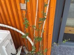 -鸥迪足道(湖南示范店)