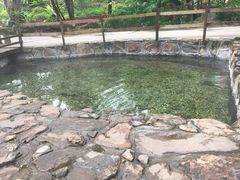 -莫里热带雨林景区