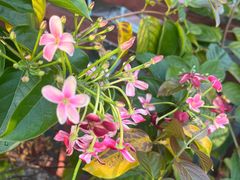 -拾光音乐餐酒吧(告庄星光夜市店)