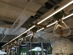 -% Arabica阿拉比卡咖啡(前滩太古里店)