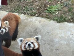 -杭州野生动物世界