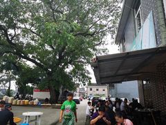 -大树下饭店(春晓镇慈岙社区卫生服务站南)