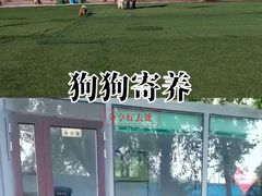 -宠物寄养训练学校