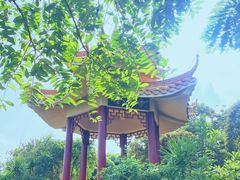 -海南铜鼓岭景区