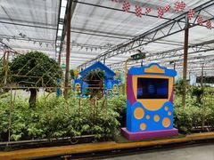 -南宫五洲植物乐园