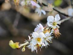 -广州市流溪河国家森林公园