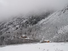 -黄龙山原始森林景区