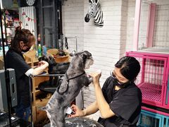 -Goku PET SHOP宠物视觉生活馆(双井店)