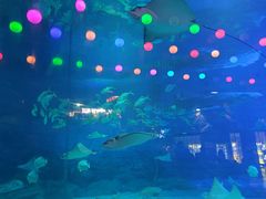 -烟台海昌鲸鲨海洋公园