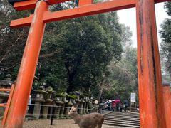 -奈良公园