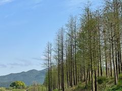 -溪口-滕头旅游景区