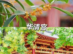 -华清宫景区