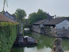 -鲁镇