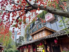 -田园印象·成都土菜院子(华阳店)