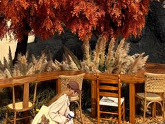 -Blue Concept Cafe&Farm·關於藍