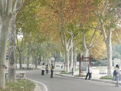 -石家庄市植物园