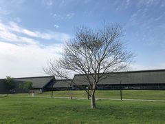 -鸿山遗址博物馆