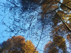-山王坪喀斯特国家生态公园