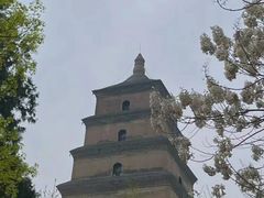 -秦始皇帝陵博物院-丽山园