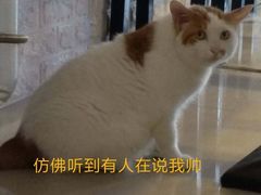 -平行世界·猫咖(首经贸店)