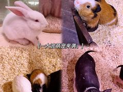 -正佳雨林生态植物园