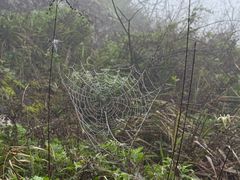 -崀山风景名胜区