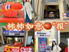 -王府井奥莱临潼小镇(临潼店)