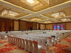 -上海浦东康桥绿地假日酒店