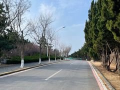 -养马岛旅游度假区