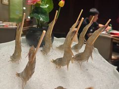 -南门四季铜锅涮肉(大屯·北苑店)