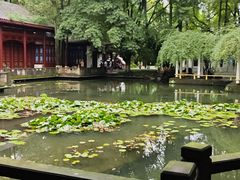 -温江公园