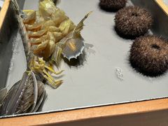 -荣轩(新荣记环球金融中心店)