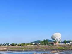 -上海佘山国家森林公园天马山园