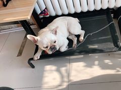 -平行世界·猫咖(首经贸店)