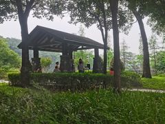 -王借岗森林公园