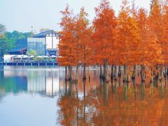 -白鹭湾湿地公园