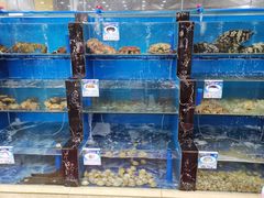 水产区-君港海鲜(三亚湾店)
