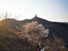 -定都阁